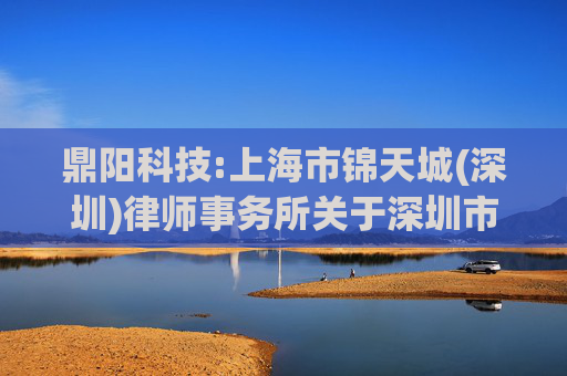 鼎阳科技:上海市锦天城(深圳)律师事务所关于深圳市鼎阳科技股份有限公司2024年限制性股票激励计划调整及首次授予事项的法律意见书