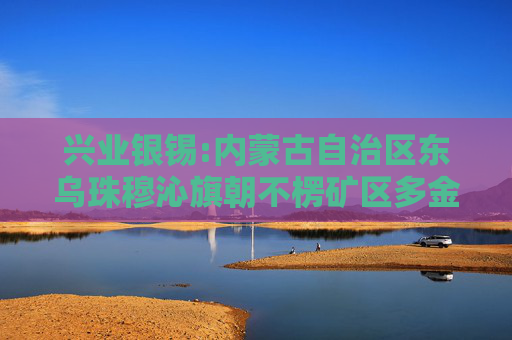 兴业银锡:内蒙古自治区东乌珠穆沁旗朝不楞矿区多金属矿勘探探矿权评估报告