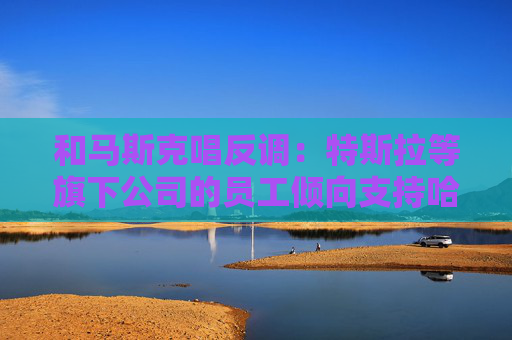 和马斯克唱反调：特斯拉等旗下公司的员工倾向支持哈里斯！