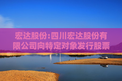 宏达股份:四川宏达股份有限公司向特定对象发行股票方案的论证分析报告