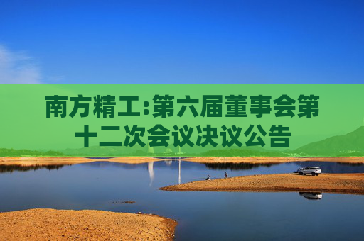 南方精工:第六届董事会第十二次会议决议公告