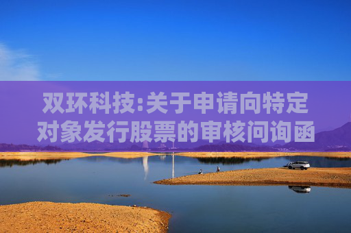 双环科技:关于申请向特定对象发行股票的审核问询函回复及募集说明书等申请文件更新的提示性公告