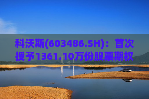 科沃斯(603486.SH)：首次授予1361.10万份股票期权与629.29万股限制性股票