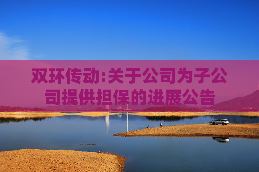 双环传动:关于公司为子公司提供担保的进展公告