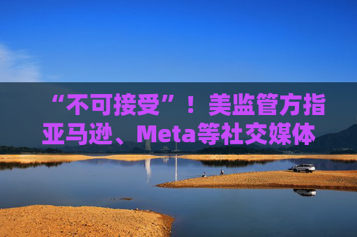 “不可接受”！美监管方指亚马逊、Meta等社交媒体大肆收集保留个人信息、搞“大规模监控”
