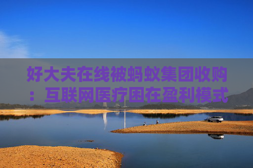 好大夫在线被蚂蚁集团收购：互联网医疗困在盈利模式中