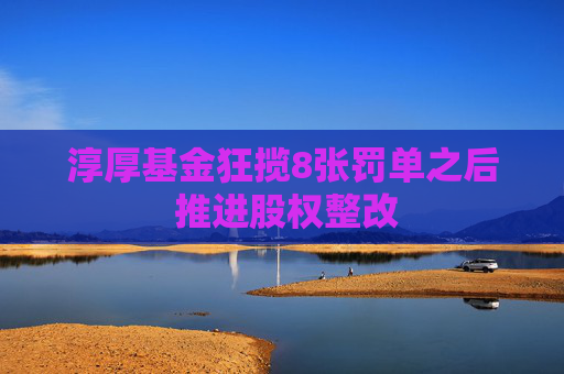 淳厚基金狂揽8张罚单之后 推进股权整改