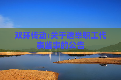 双环传动:关于选举职工代表监事的公告