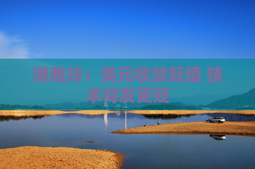 谭雅玲：美元收敛贬值 技术待发更贬
