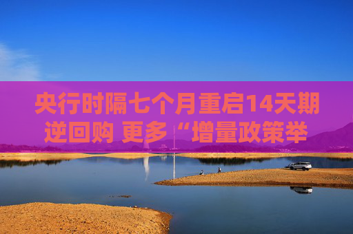 央行时隔七个月重启14天期逆回购 更多“增量政策举措”何时推出？