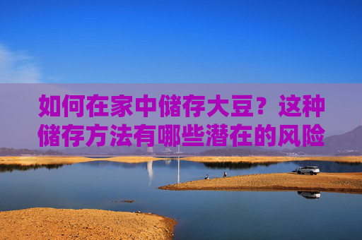 如何在家中储存大豆？这种储存方法有哪些潜在的风险和策略？