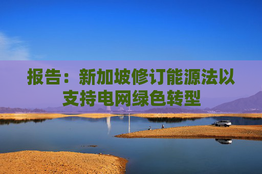 报告：新加坡修订能源法以支持电网绿色转型
