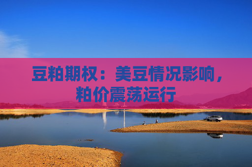豆粕期权：美豆情况影响，粕价震荡运行