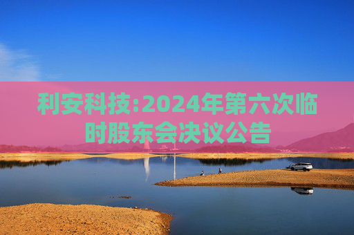 利安科技:2024年第六次临时股东会决议公告