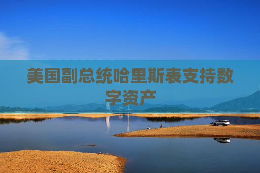美国副总统哈里斯表支持数字资产