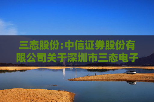 三态股份:中信证券股份有限公司关于深圳市三态电子商务股份有限公司2024年半年度跟踪报告