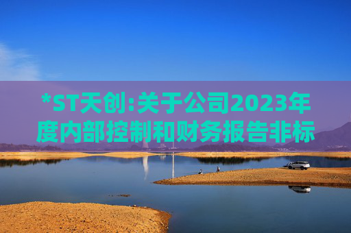 *ST天创:关于公司2023年度内部控制和财务报告非标准意见所涉事项的整改进展报告