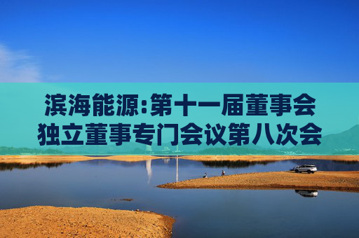 滨海能源:第十一届董事会独立董事专门会议第八次会议的审核意见