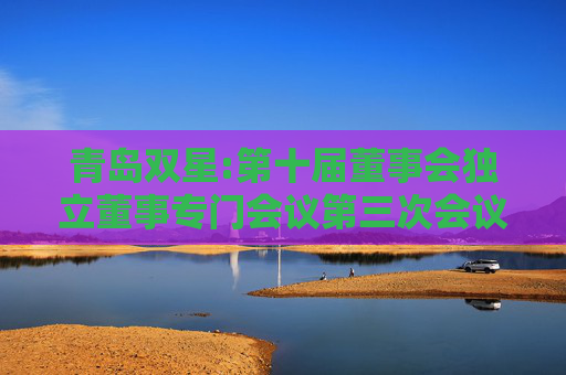 青岛双星:第十届董事会独立董事专门会议第三次会议决议