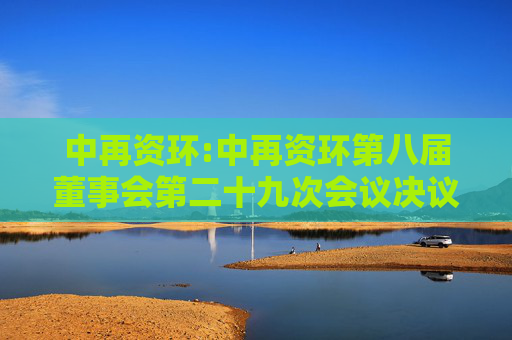 中再资环:中再资环第八届董事会第二十九次会议决议公告