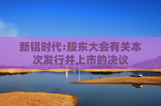 新铝时代:股东大会有关本次发行并上市的决议
