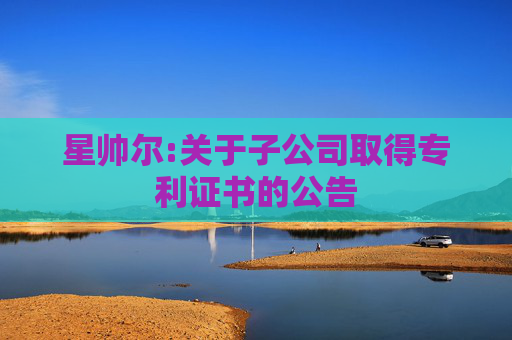 星帅尔:关于子公司取得专利证书的公告