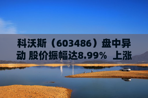 科沃斯（603486）盘中异动 股价振幅达8.99%  上涨7.1%（09-26）