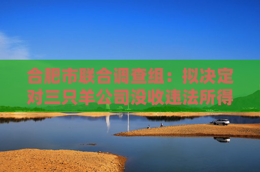 合肥市联合调查组：拟决定对三只羊公司没收违法所得、罚款共计6894.91万元