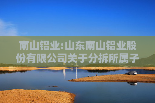 南山铝业:山东南山铝业股份有限公司关于分拆所属子公司至香港联交所上市的进展公告