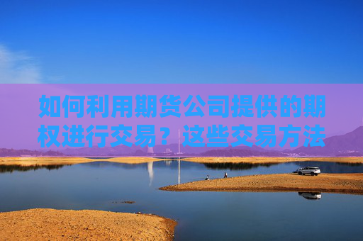 如何利用期货公司提供的期权进行交易？这些交易方法有哪些实际应用？