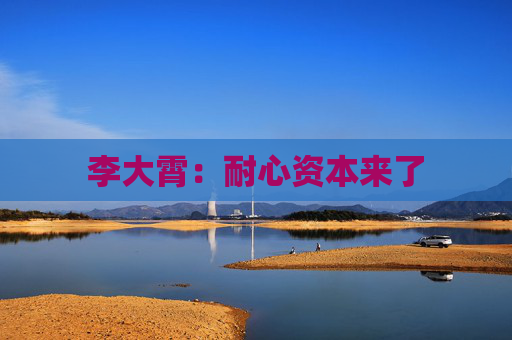 李大霄：耐心资本来了
