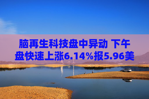 脑再生科技盘中异动 下午盘快速上涨6.14%报5.96美元