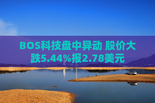BOS科技盘中异动 股价大跌5.44%报2.78美元
