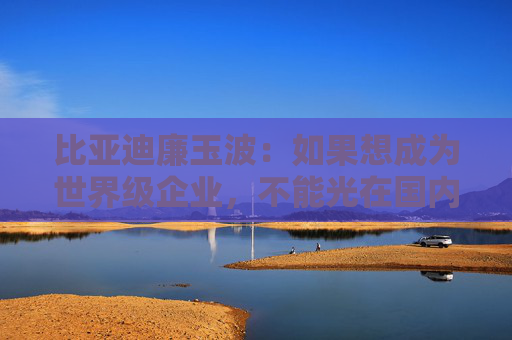 比亚迪廉玉波：如果想成为世界级企业，不能光在国内卷