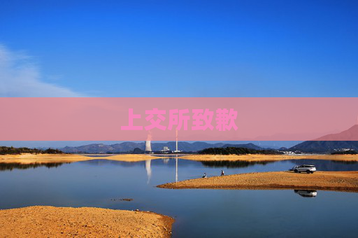 上交所致歉