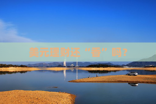 美元理财还“香”吗？