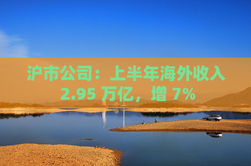 沪市公司：上半年海外收入 2.95 万亿，增 7%