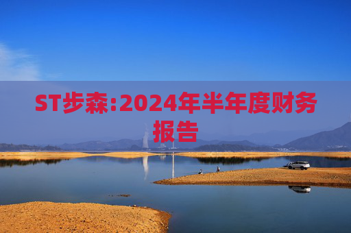 ST步森:2024年半年度财务报告