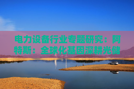 电力设备行业专题研究：阿特斯：全球化基因深耕光储高盈利市场