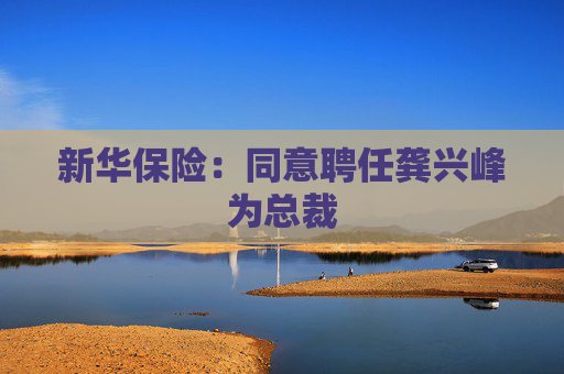 新华保险：同意聘任龚兴峰为总裁