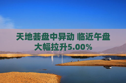 天地荟盘中异动 临近午盘大幅拉升5.00%