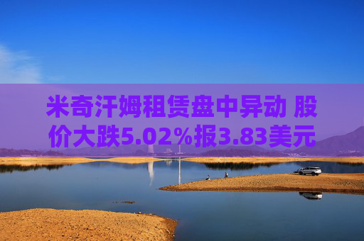 米奇汗姆租赁盘中异动 股价大跌5.02%报3.83美元