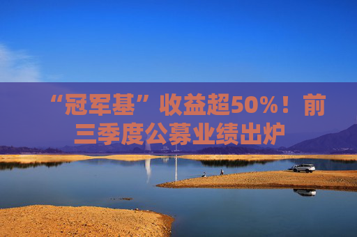 “冠军基”收益超50%！前三季度公募业绩出炉