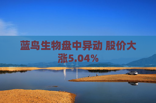 蓝鸟生物盘中异动 股价大涨5.04%