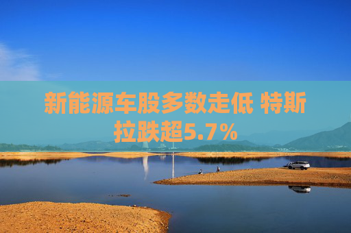新能源车股多数走低 特斯拉跌超5.7%