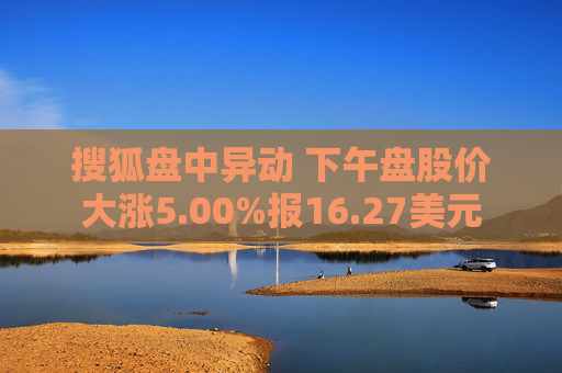 搜狐盘中异动 下午盘股价大涨5.00%报16.27美元