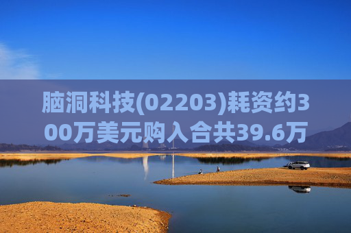 脑洞科技(02203)耗资约300万美元购入合共39.6万股Up Fintech股份